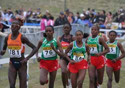 지난해 영국 에딘버러에서 열린 36회 대회에서는 남.녀 모두 에티오피아의 육상영웅 케네니사 베켈레와 티루네쉬 디바바가 우승을 차지했고, 케냐는 남자 단체에서 우승하며 체면치레를 했다. 베켈레와 디바바는 베이징올림픽에서 5000m와 10000m를 모두 석권하며 장거리 최강자임을 입증했다. 향후 두 선수가 폴 터갓, 하일레 게브라셀라시에 처럼 마라톤으로 종목을 전향한다면 세계 마라톤계에서 태풍의 핵으로 떠오를 것이 분명해 보인다.
<br>
<br>* 사진설명 : 2006년 후쿠오카에서 열렸던 제35회 IAAF 세계크로스컨트리대회. 76번이 여자부 우승자인 티루네쉬 디바바
<br>
<br>3월28일 요르단 암만에서 열리는 제37회 IAAF 세계크로스컨트리대회는 2006년 일본 후쿠오카 대회에 이어 아시아에서 두 번째로 열리는 것으로 총 63개국이 출전할 예정이지만 아쉽게도 우리나라는 출전하지 않는다. 한국은 3년 전 후쿠오카 대회에 처음으로  출전해 여자부에서 박호선 선수(삼성전자)가 100여명의 출전선수 중 71위로 가장 좋은 성적을 낸 바 있다. 관련사진