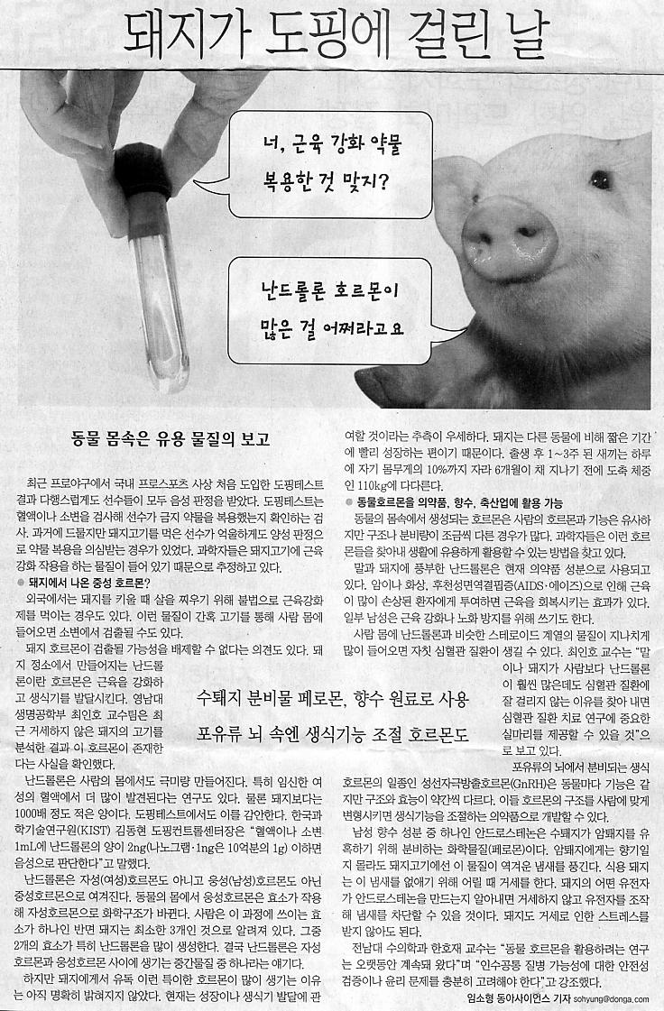 돼지가 도핑에 걸린 날…